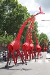 Les Girafes 19 * 5616 x 3744 * (7.49MB)